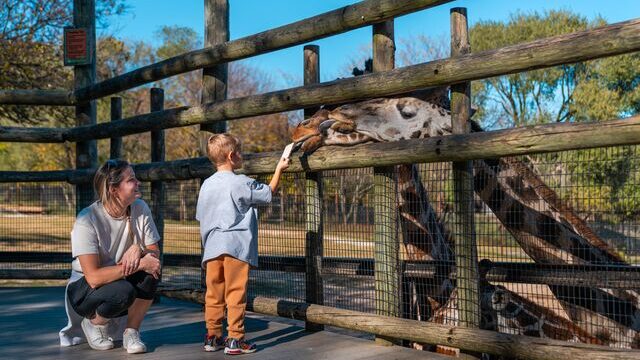 Dickerson Park Zoo