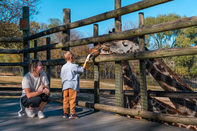 Dickerson Park Zoo