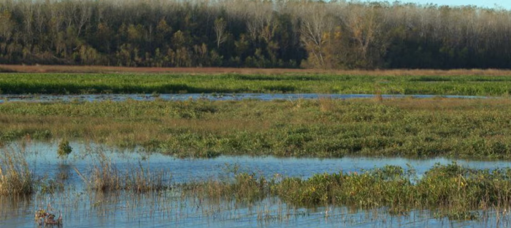 Fountain Grove Conservation Area
