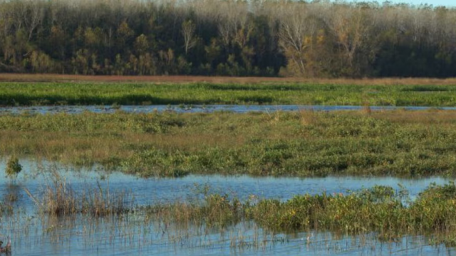Fountain Grove Conservation Area