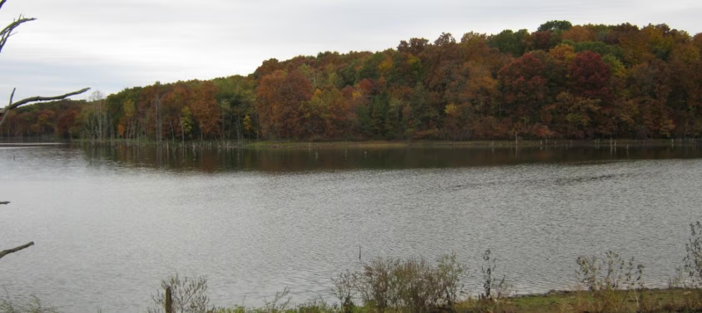 Fox Valley Lake Conservation Area
