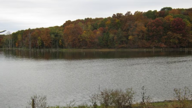 Fox Valley Lake Conservation Area