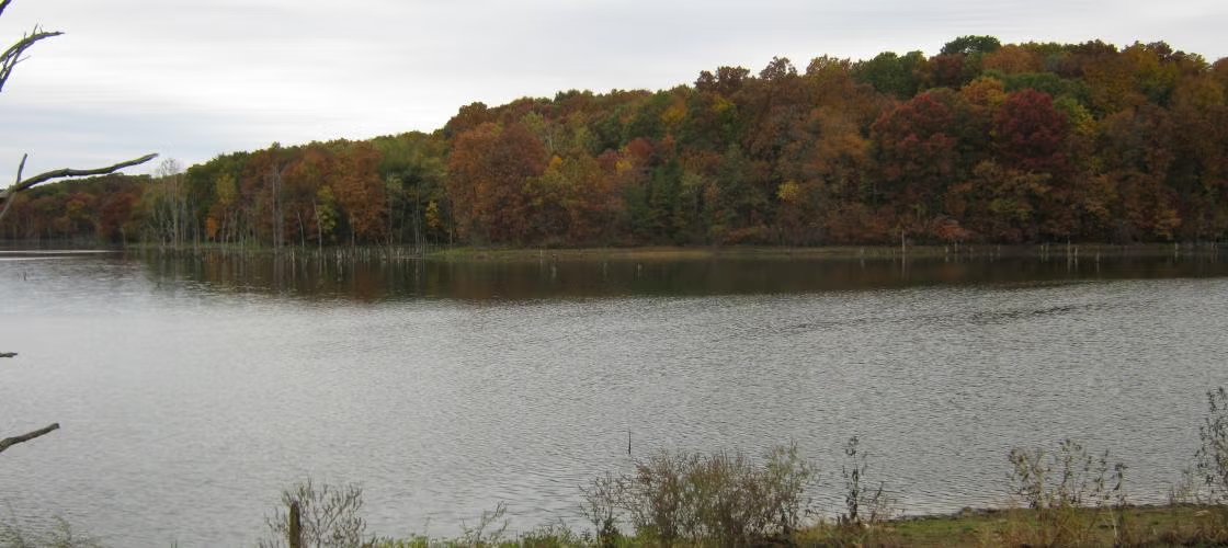 Fox Valley Lake Conservation Area