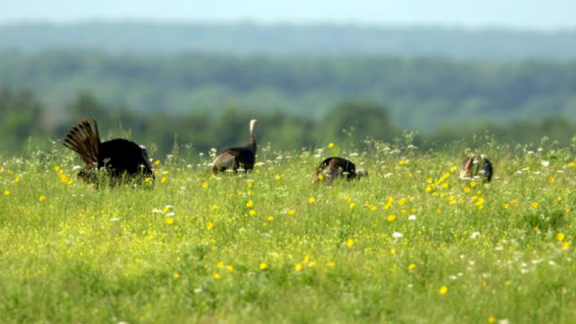 Hi Lonesome Prairie Conservation Area