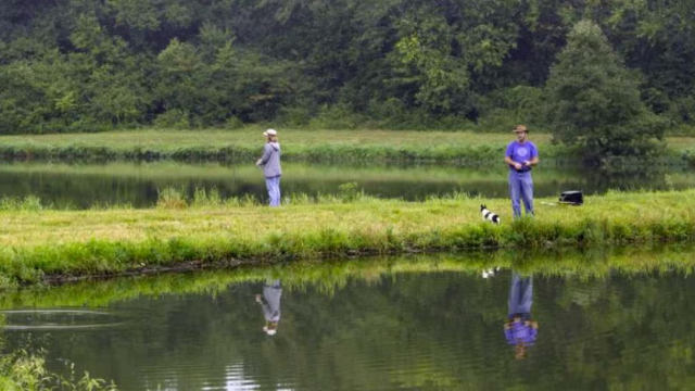 James A. Reed Memorial Wildlife Area