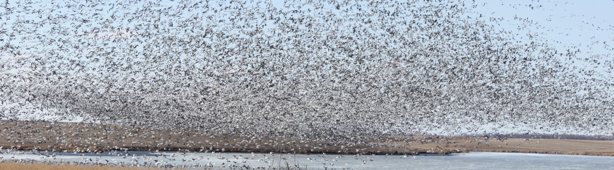 Loess Bluffs National Wildlife Refuge