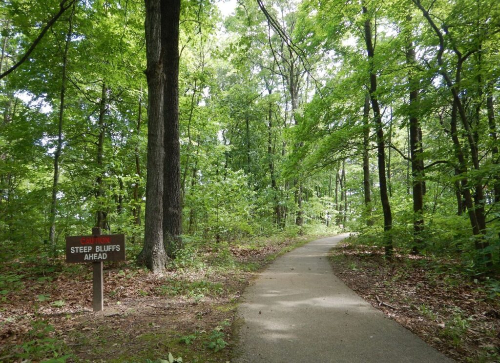 Magnolia Hollow Trail