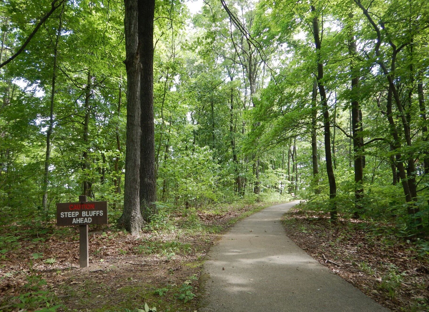 Magnolia Hollow Trail