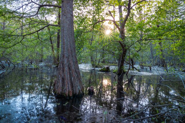Mingo National Wildlife Refuge