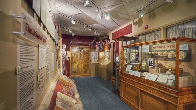 Museum of Osteopathic Medicine