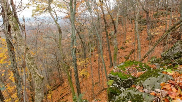 Myron and Sonya Glassberg Family Conservation Area