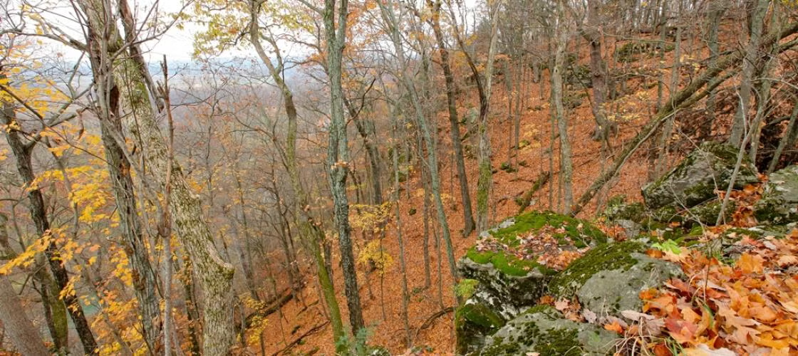 Myron and Sonya Glassberg Family Conservation Area