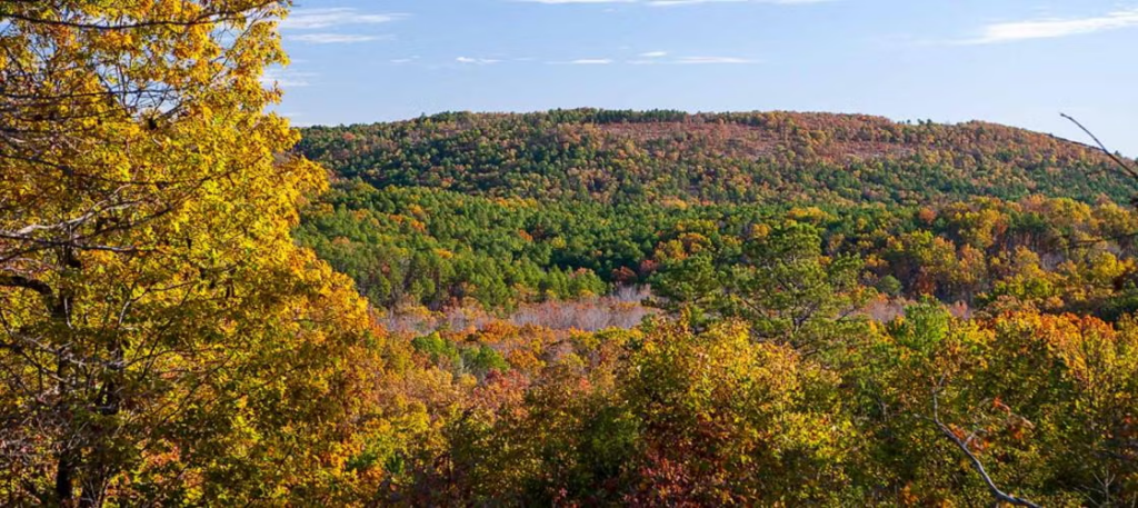Peck Ranch Conservation Area
