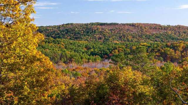 Peck Ranch Conservation Area