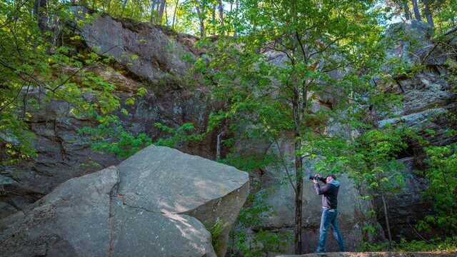 Pickle Springs Natural Area