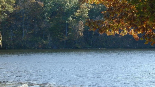 Poosey Conservation Area