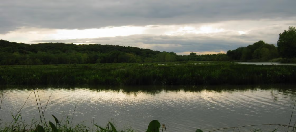 Rebel's Cove Conservation Area