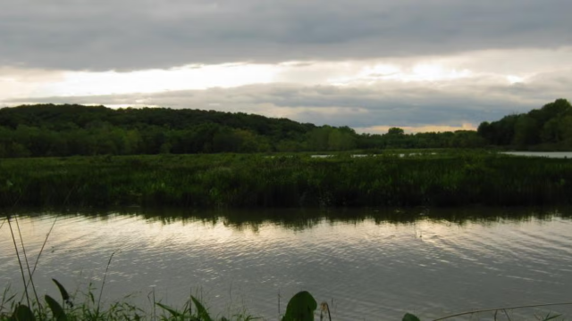Rebel's Cove Conservation Area