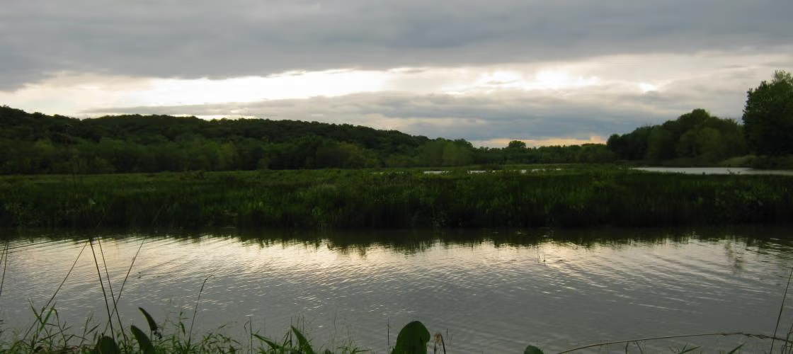 Rebel's Cove Conservation Area