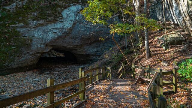 Rock Bridge Memorial State Park