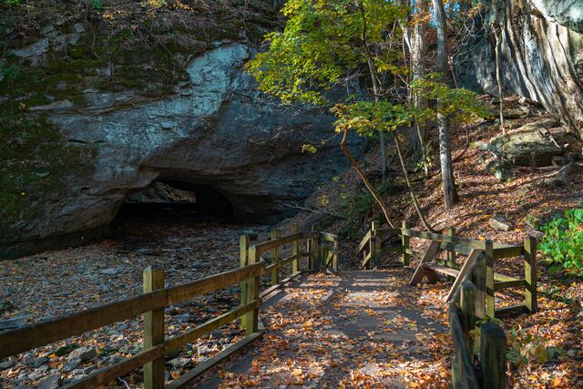 Rock Bridge Memorial State Park