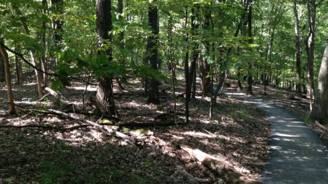Rockwoods Reservation