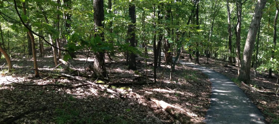 Rockwoods Reservation