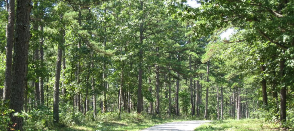 Rocky Creek Conservation Area