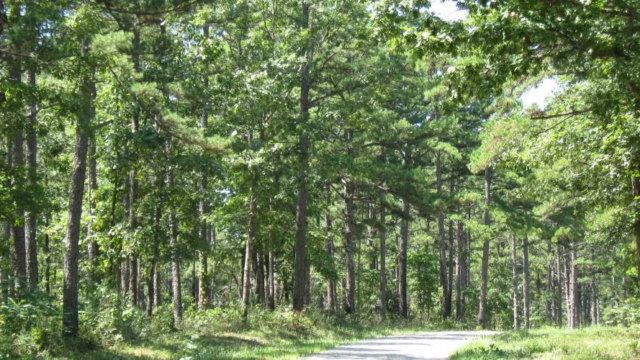 Rocky Creek Conservation Area