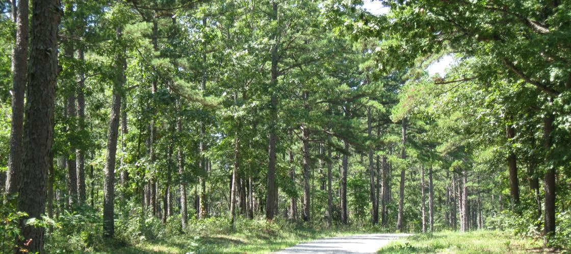 Rocky Creek Conservation Area