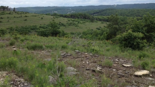Ruth and Paul Henning Conservation Area