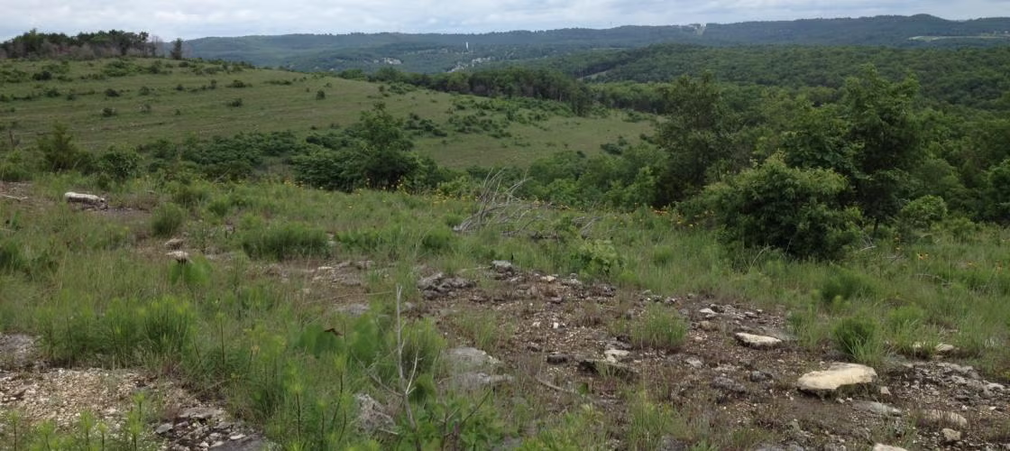 Ruth and Paul Henning Conservation Area