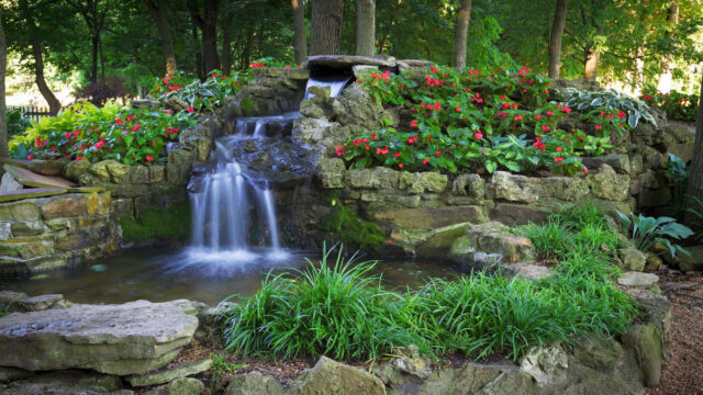 Springfield Botanical Garden