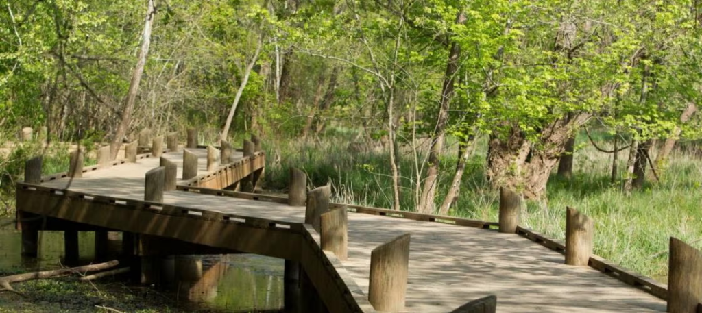 Springfield Conservation Nature Center