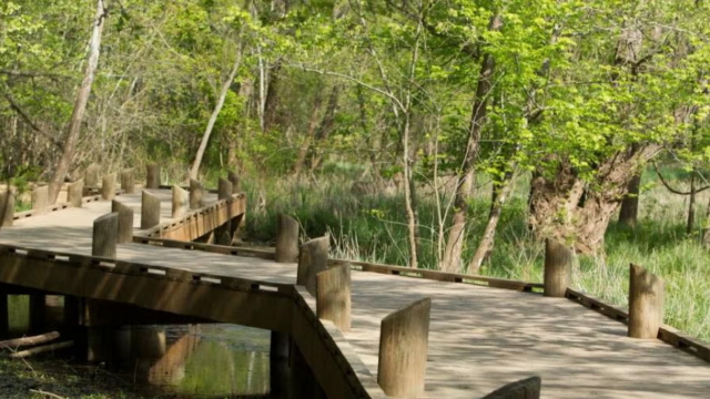 Springfield Conservation Nature Center