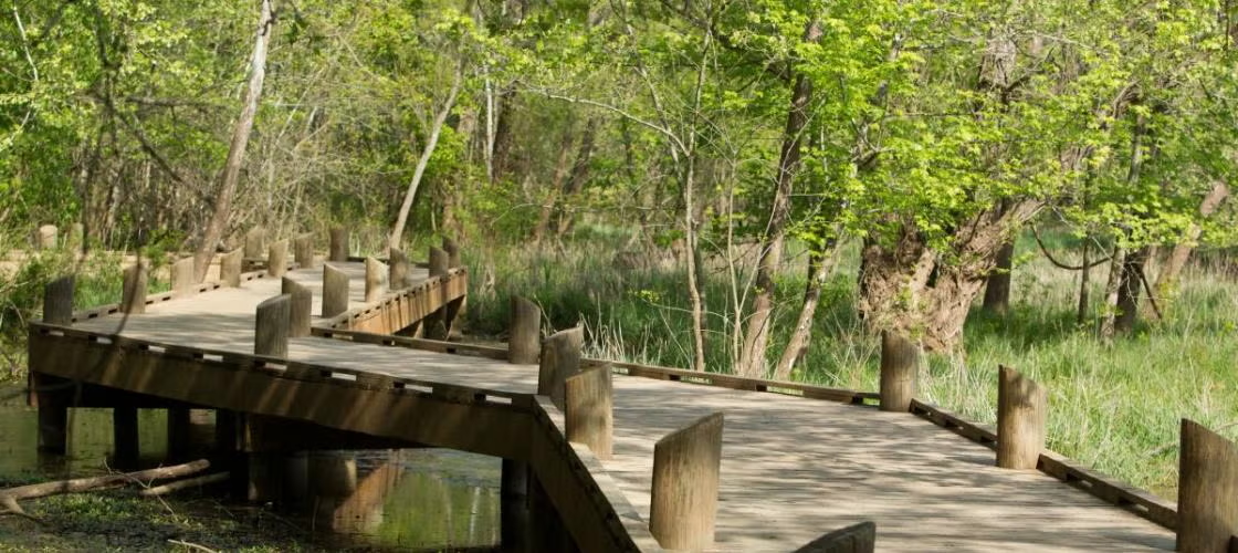 Springfield Conservation Nature Center