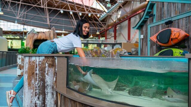 St. Louis Aquarium at Union Station