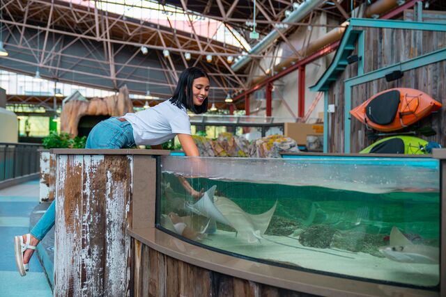 St. Louis Aquarium at Union Station