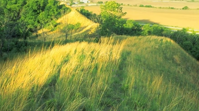 Star School Hill Prairie Conservation Area