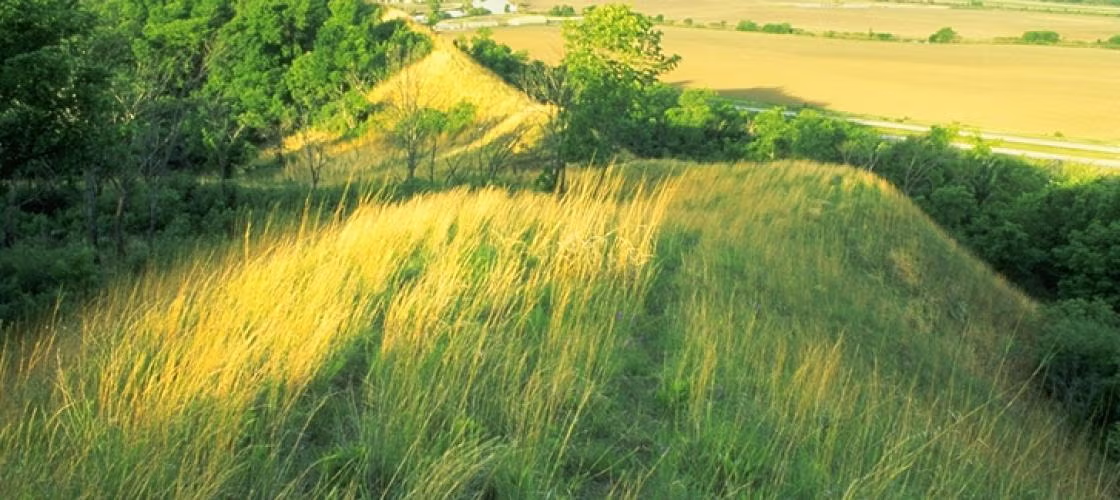 Star School Hill Prairie Conservation Area