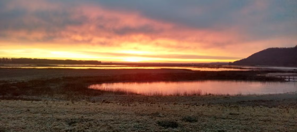 Ted Shanks Conservation Area