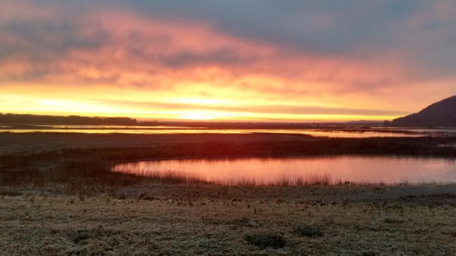 Ted Shanks Conservation Area