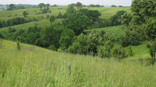 Union Ridge Conservation Area