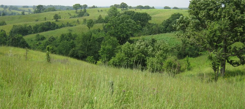 Union Ridge Conservation Area