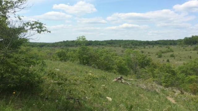 Valley View Glades Natural Area