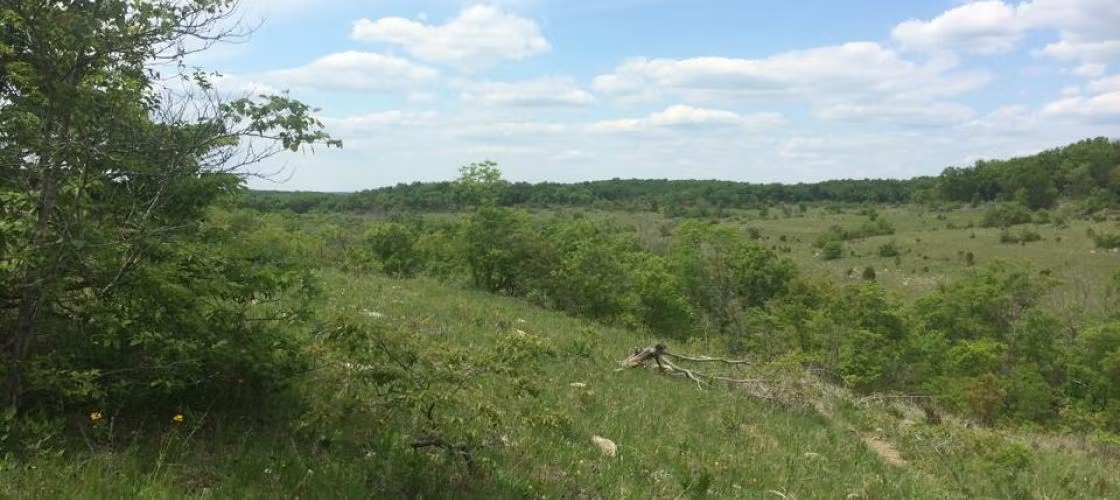 Valley View Glades Natural Area