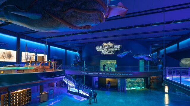 Wonders of Wildlife National Museum & Aquarium