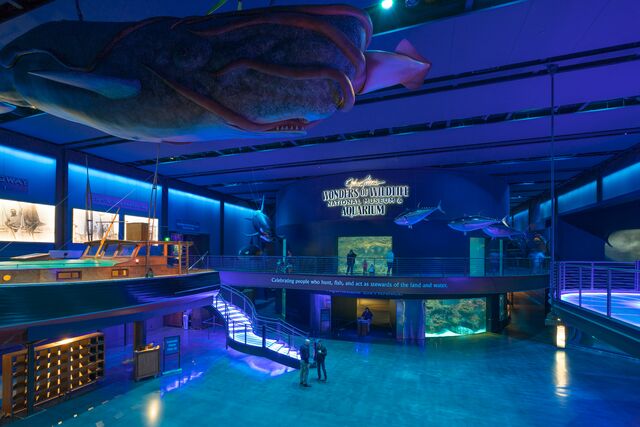 Wonders of Wildlife National Museum & Aquarium
